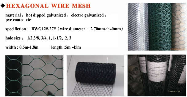 Grillage à maille hexagonale - Anping Hongyu Wire Mesh Co.,Ltd. - en acier  inoxydable